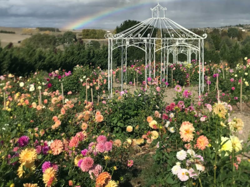 Image for Open Garden – New Hope