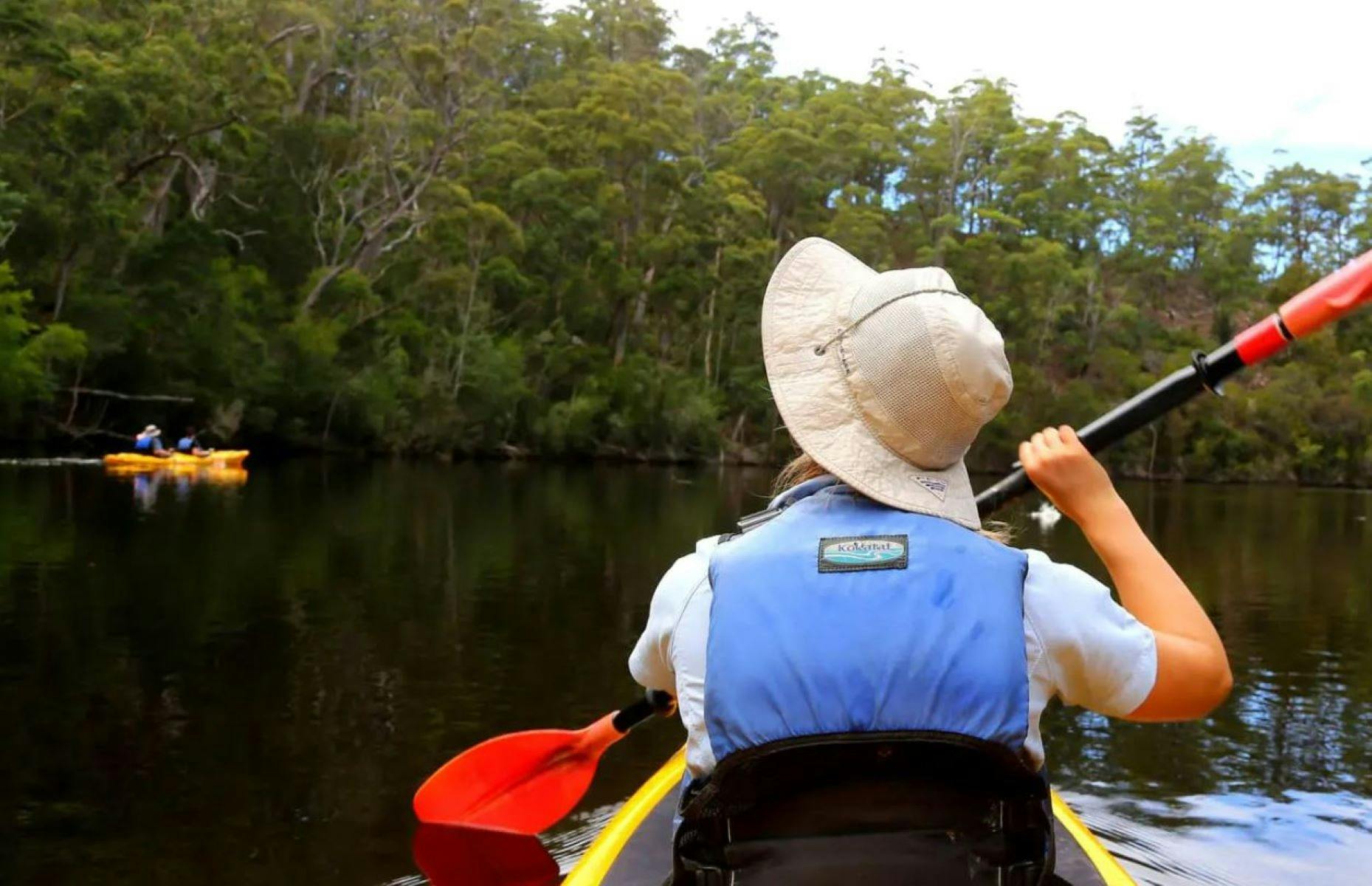 Ansons Bay Kayaking