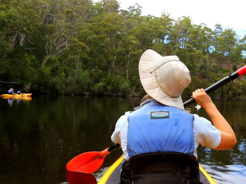 Ansons Bay Kayaking