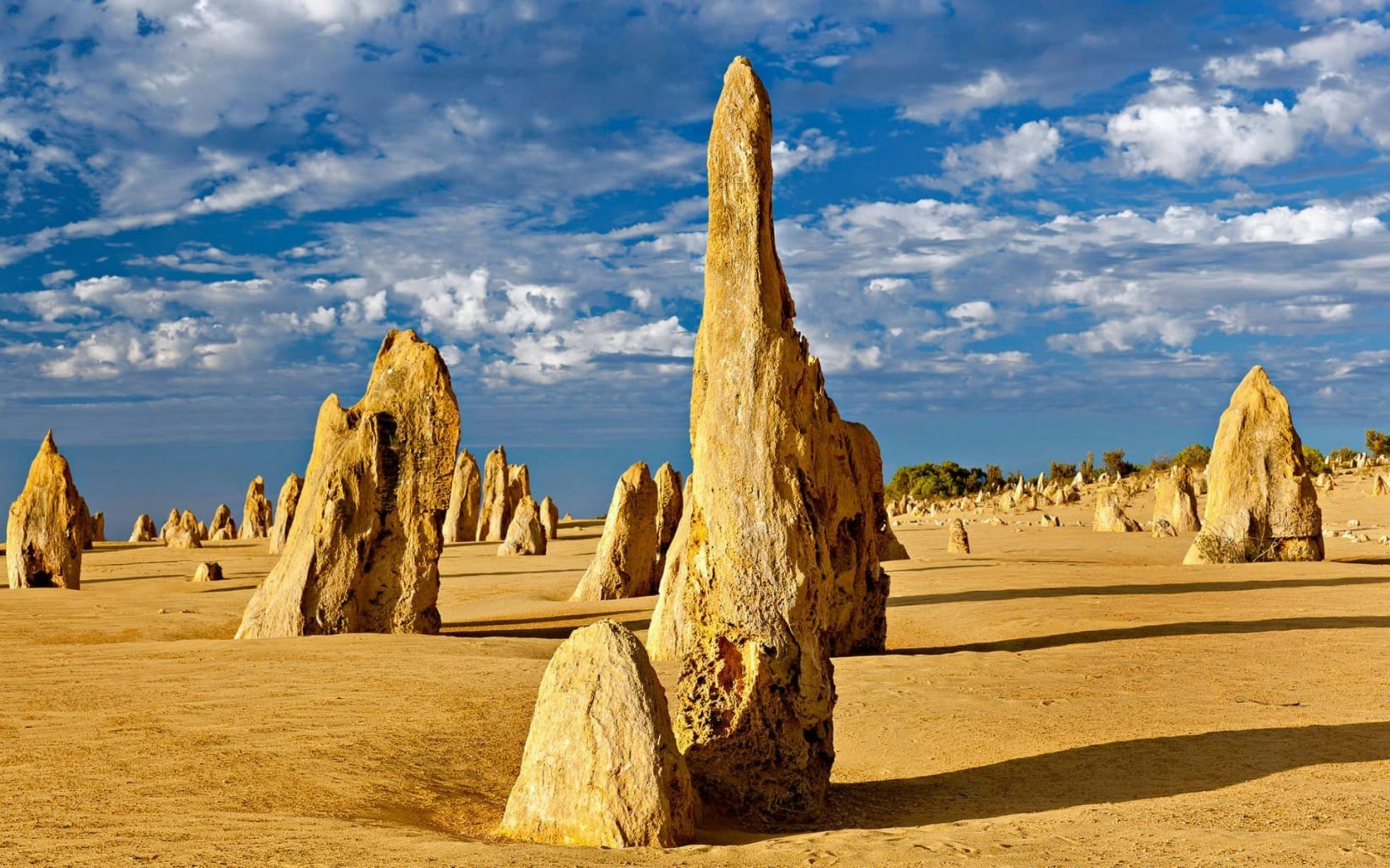 The Pinnacles Desert