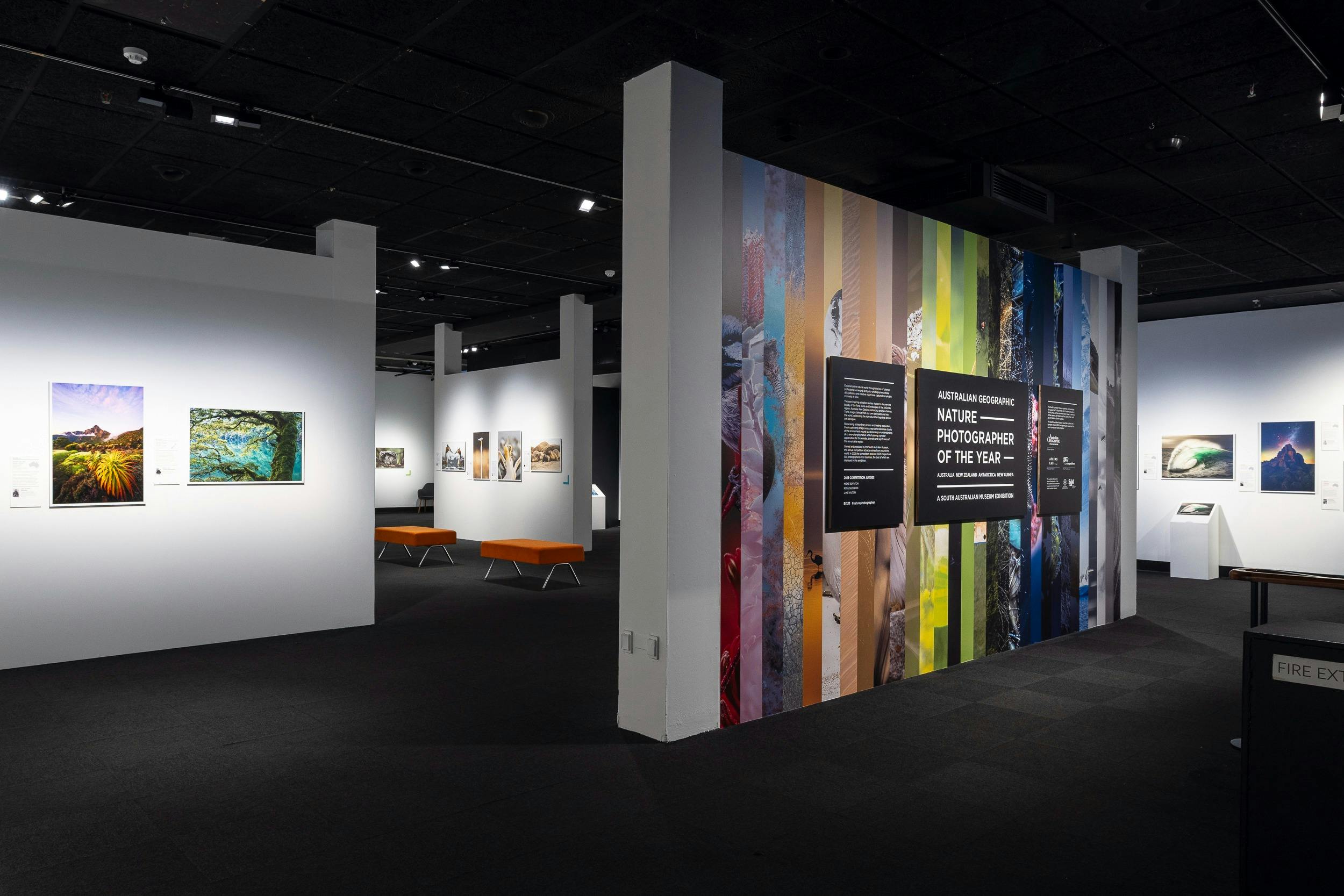 Australian Geographic Nature Photographer of the Year exhibition gallery with framed nature photos