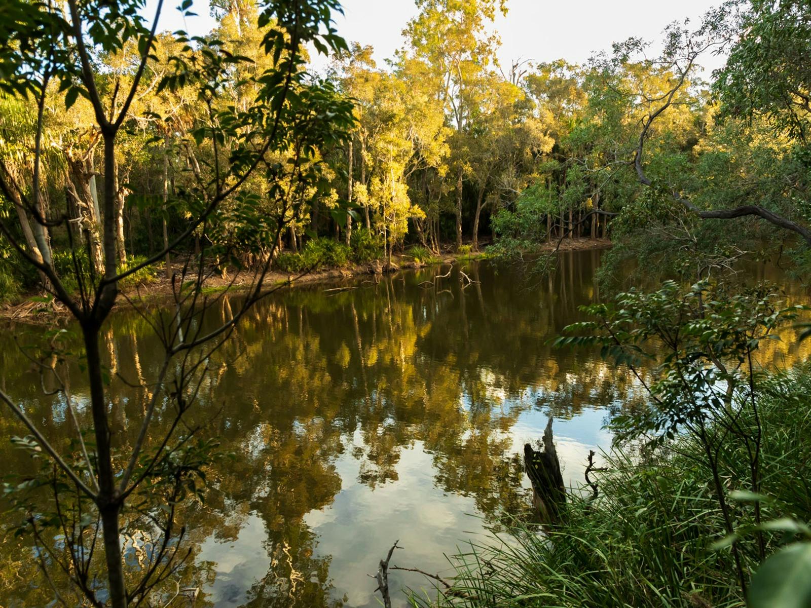 Meadowvale Nature Park Attractions Queensland