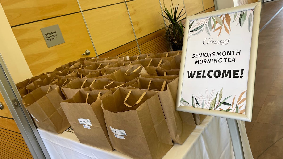 Seniors Luncheon Seniors Luncheon