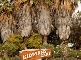 Kidman's Camp