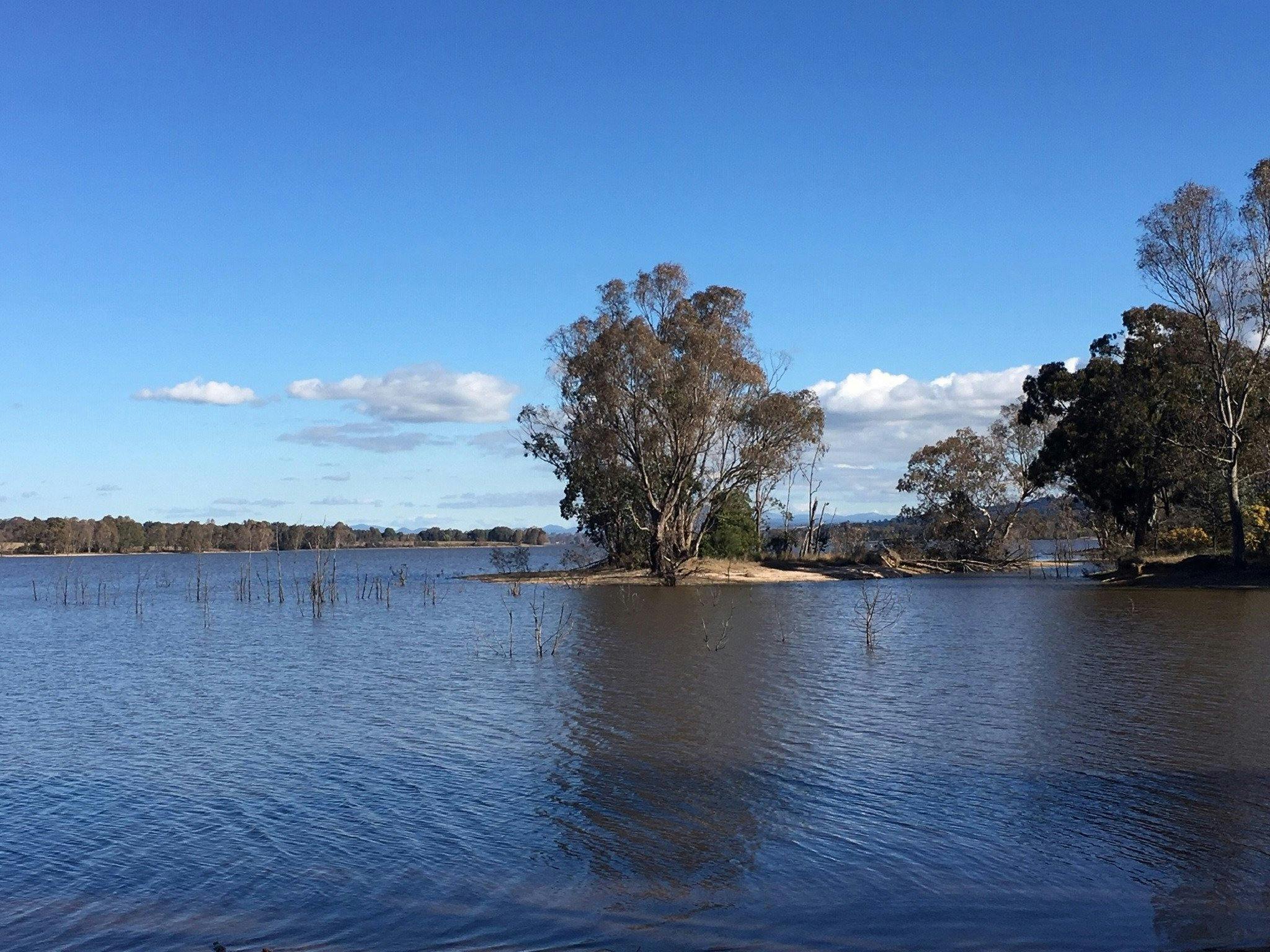 Lake Nillahcootie with trees in the water