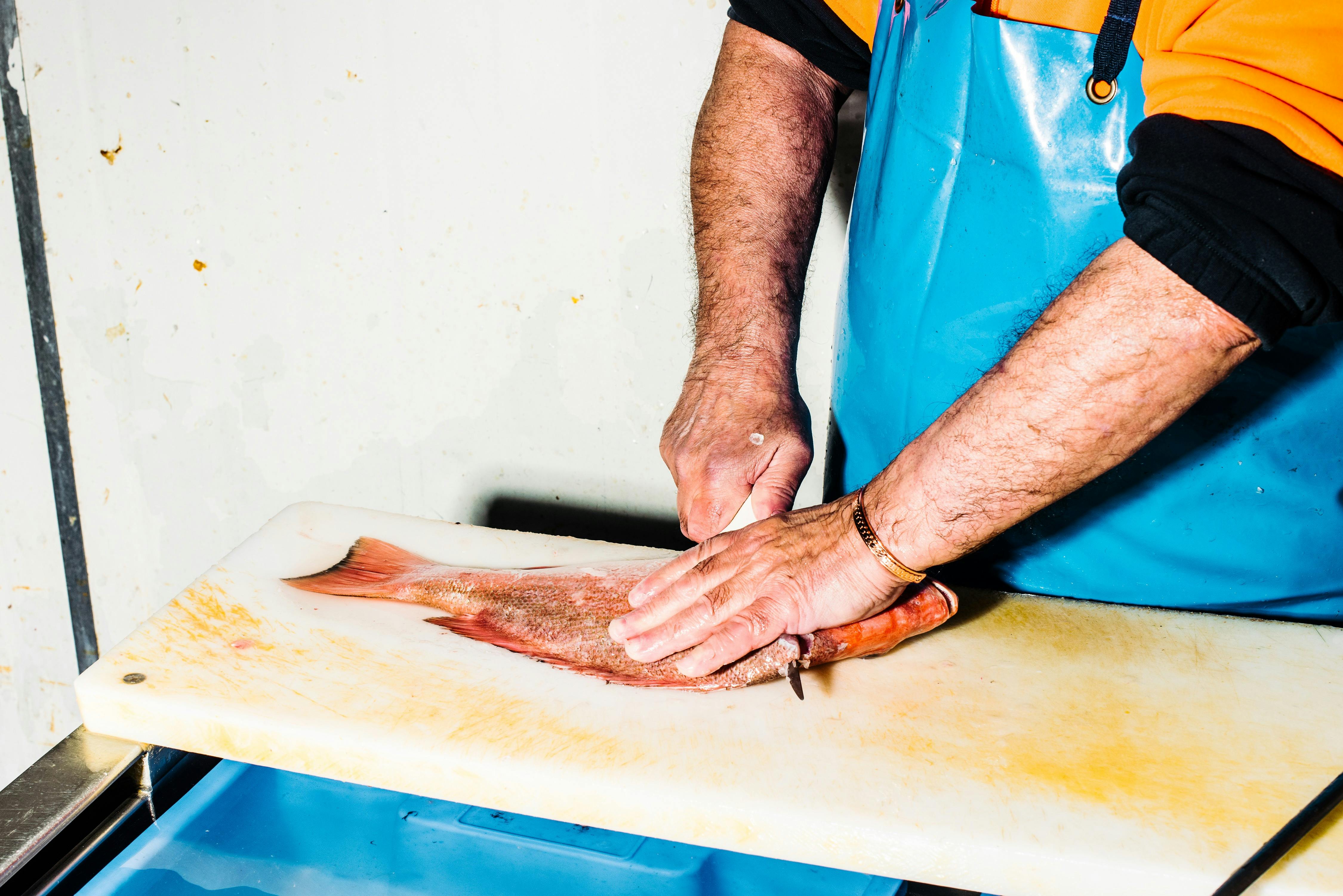 Fish filleting