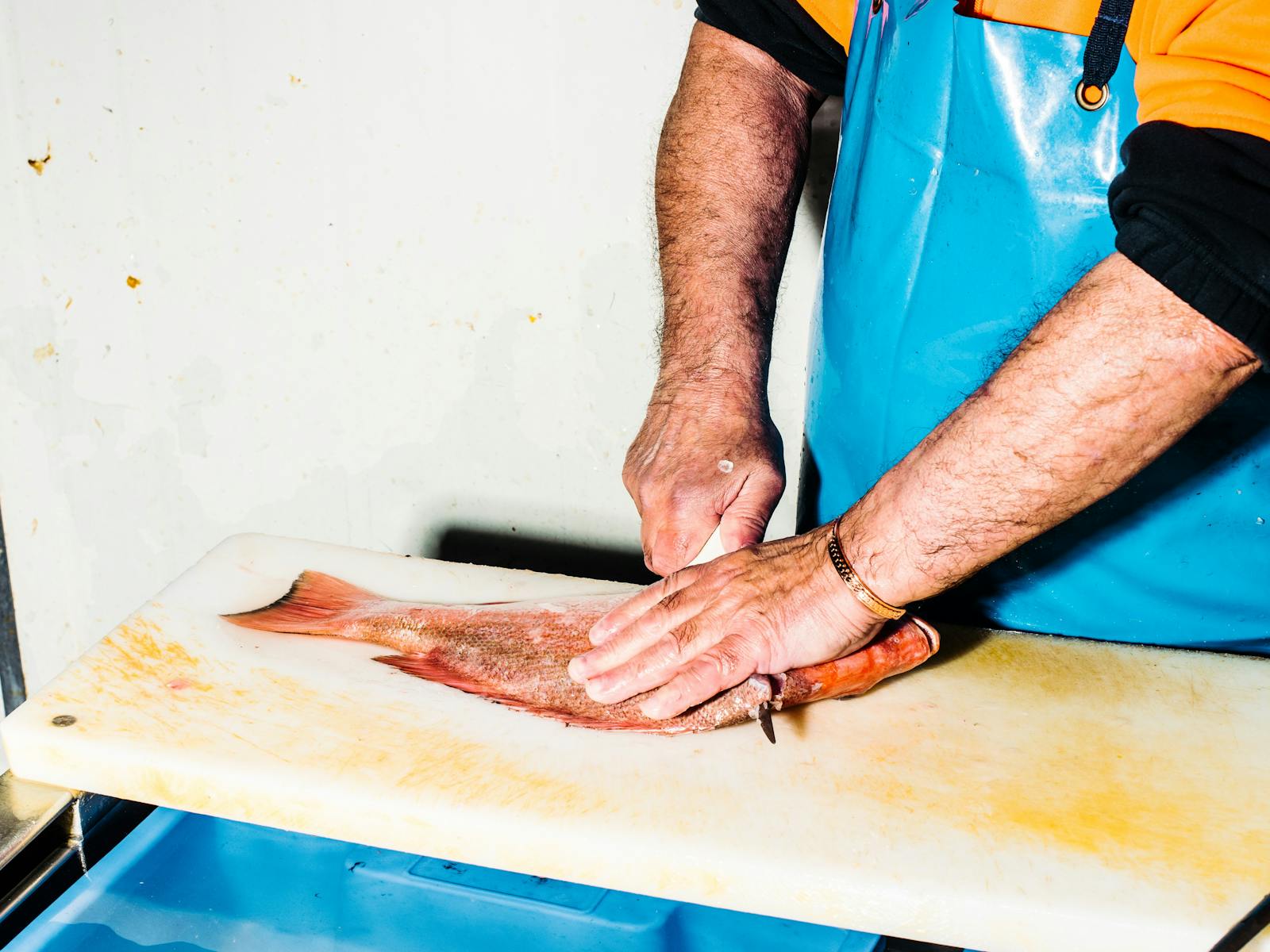 Fish filleting