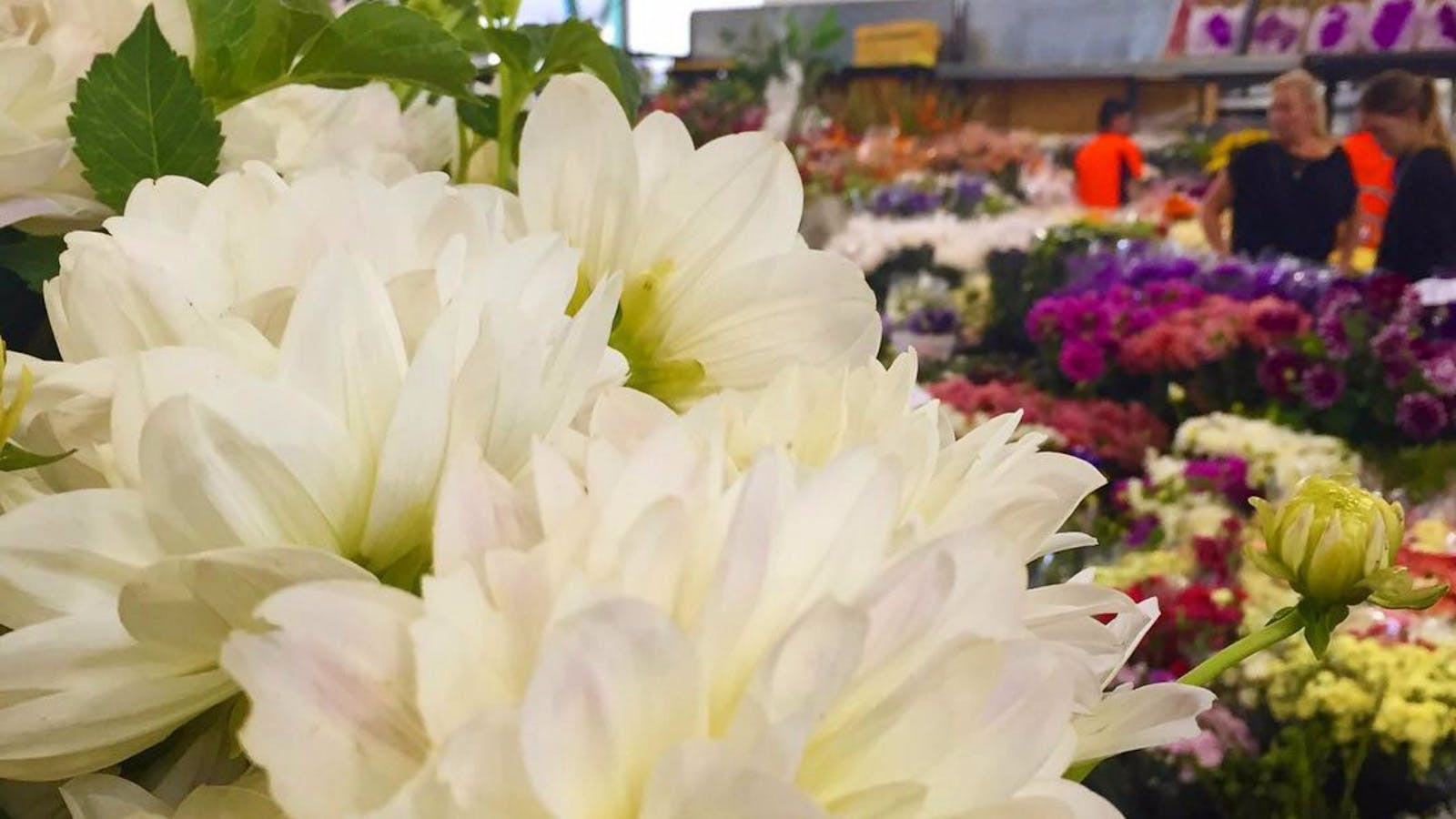 Sydney Flower Market