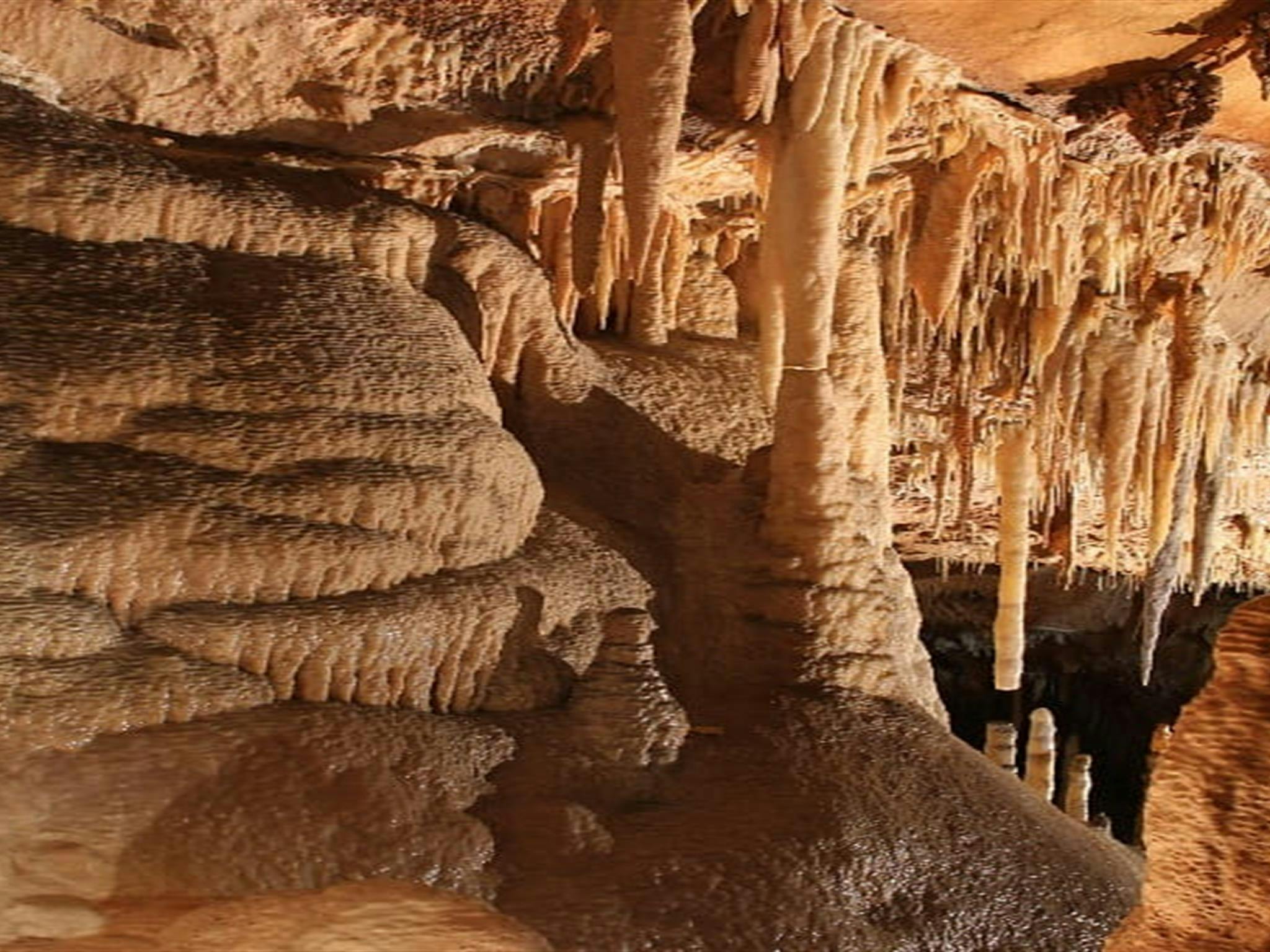 Impressive stalactites and stalagmites in Kooringa Cave. Credit: Stephen Babka/DPE &copy; Stephen