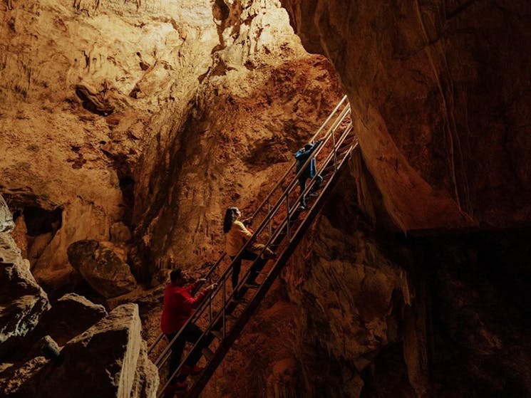 Visitors climb a staircase in Wollondilly Cave. Credit: Remy Brand/DPE &copy; Remy Brand