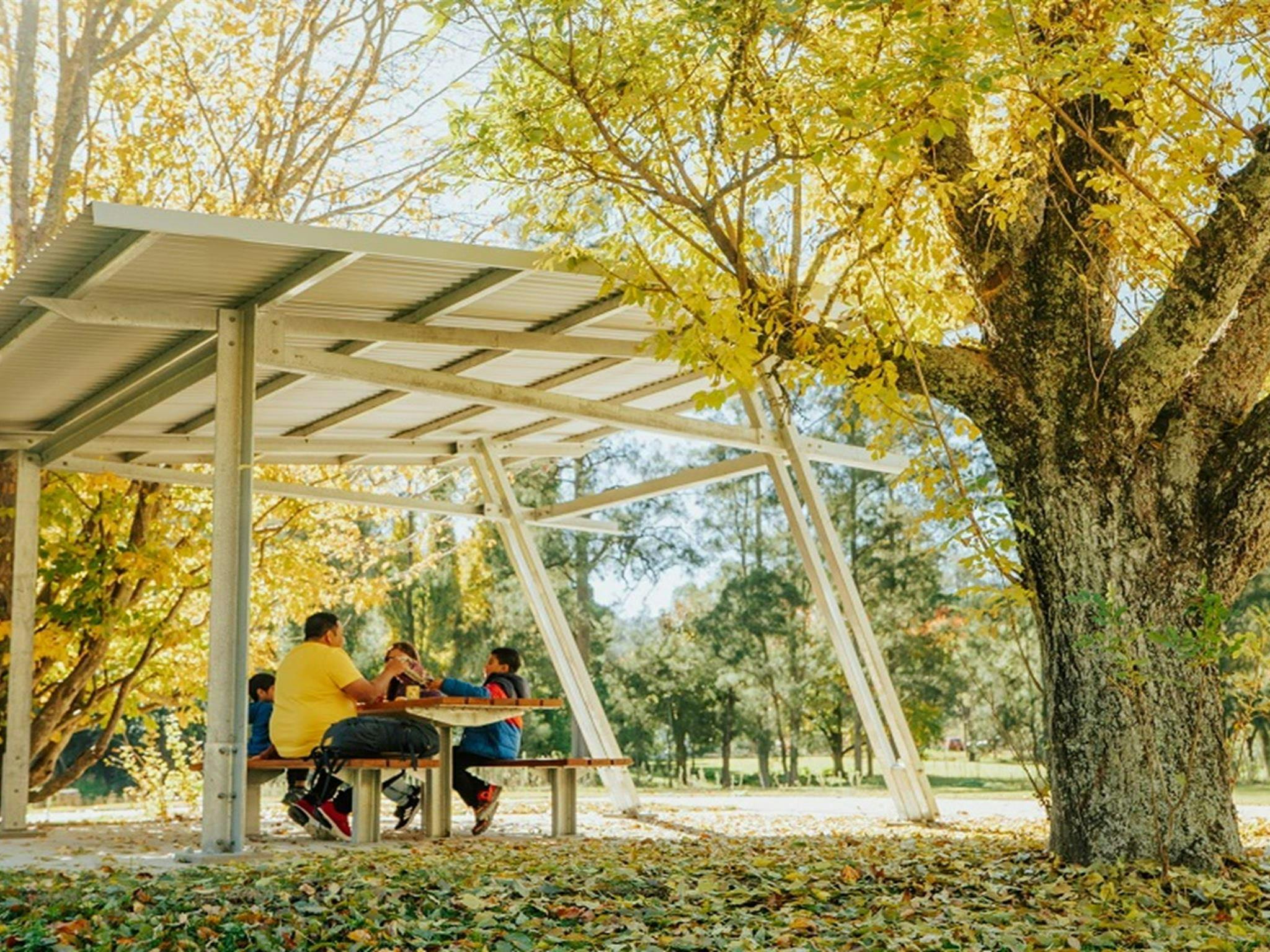 A family enjoy lunch together at Wombeyan picnic area. Credit: Remy Brand/DPE &copy; Remy Brand