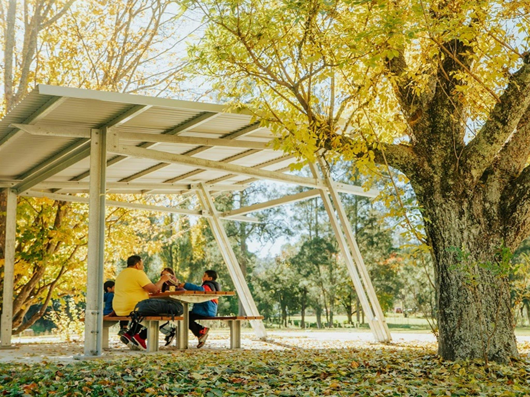 A family enjoy lunch together at Wombeyan picnic area. Credit: Remy Brand/DPE &copy; Remy Brand