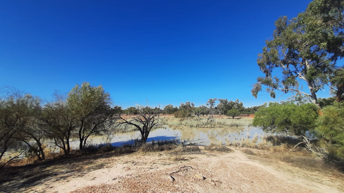 Eulo Mud Springs