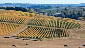 Bantry Grove Vineyard Slow Wine Co