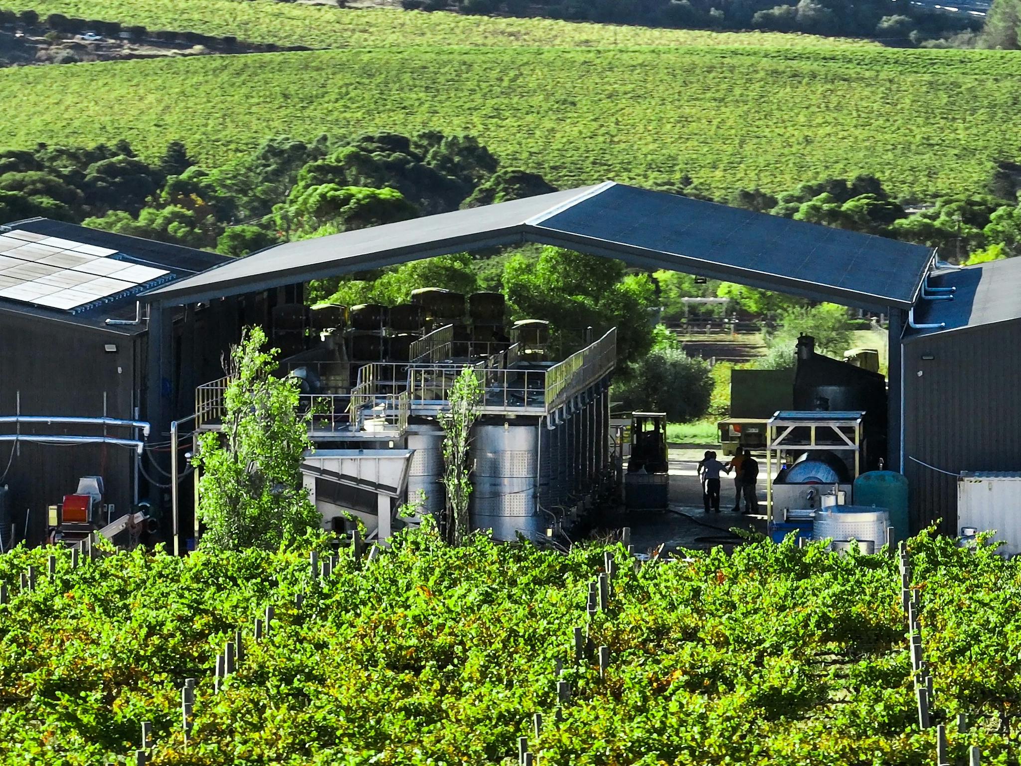 Winery