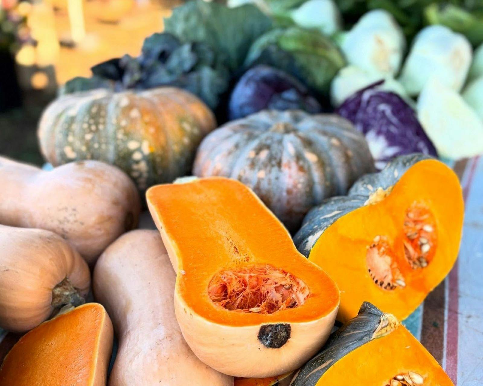 Freshly picked seasonal produce