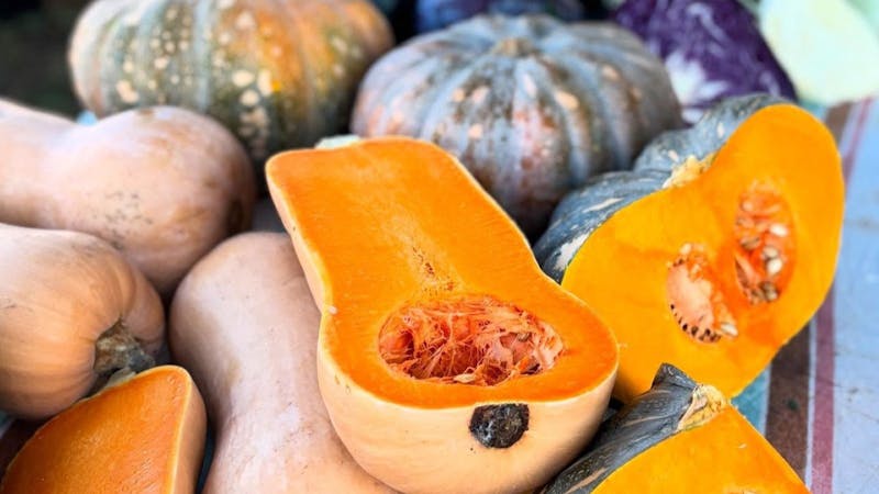 Image for Slowfood West Footscray Farmers Market