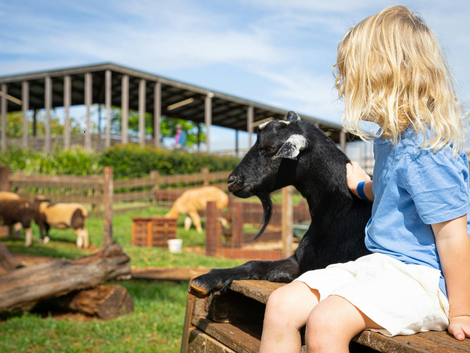 Summerland Farm