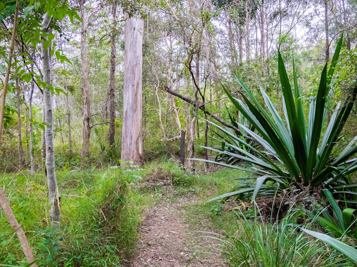 Rocky Creek Escape Farm stay - Rocky Creek