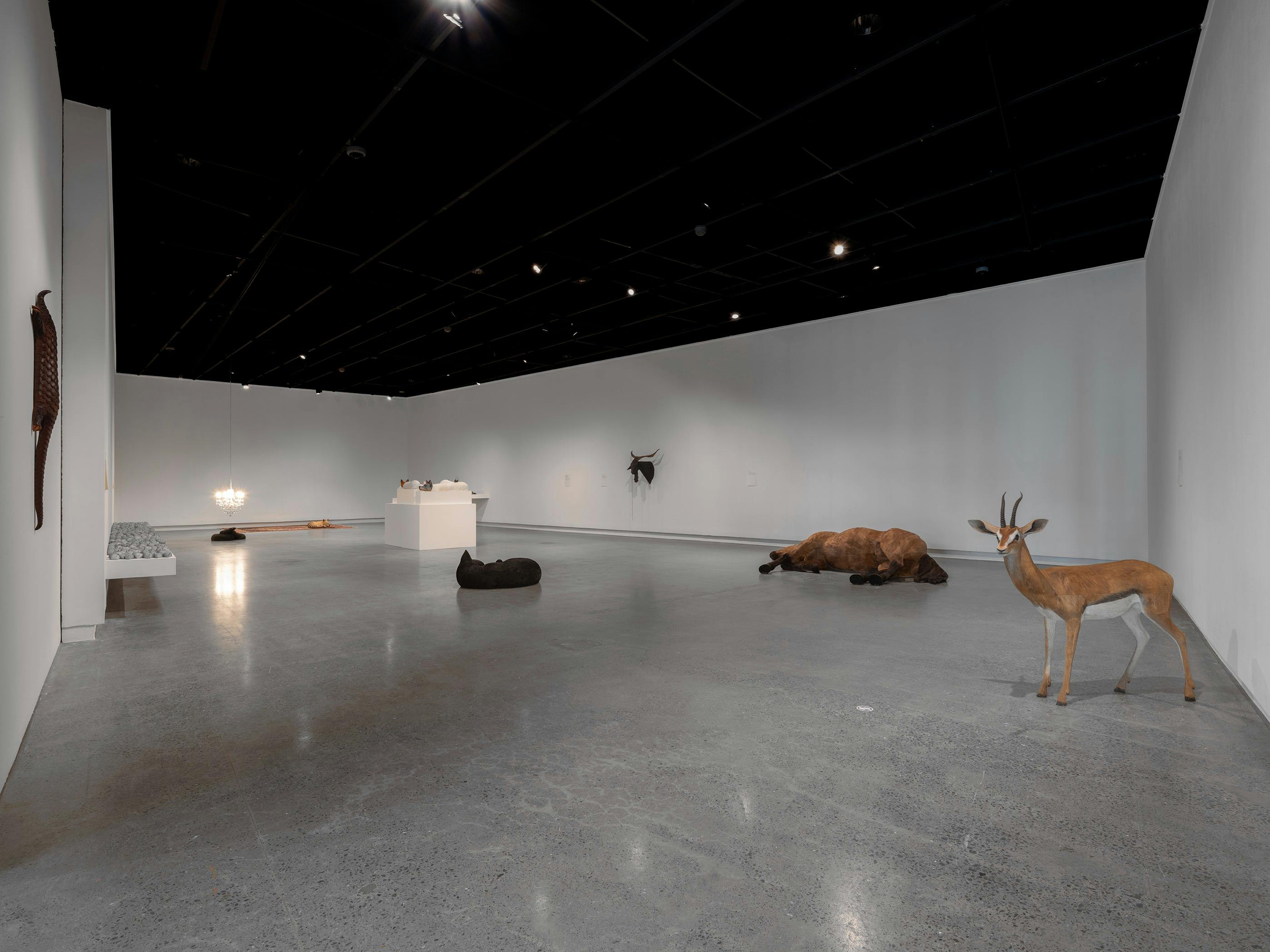 A white gallery filled with hyperrealistic wooden sculptures of animals.