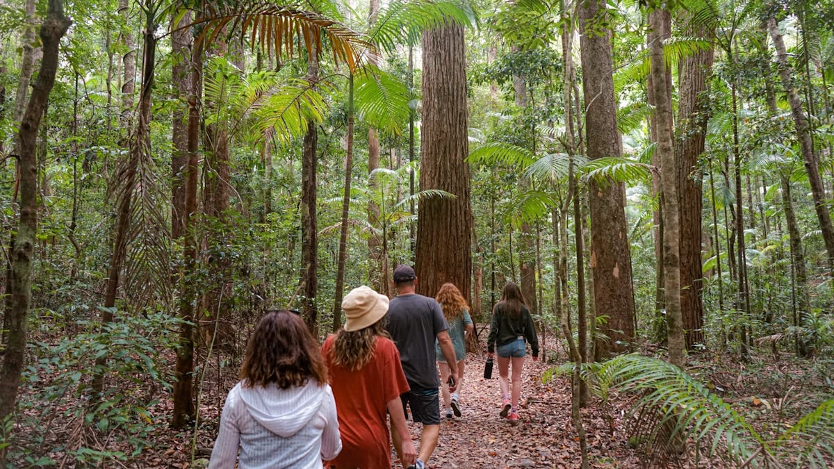 Passengers exploring the rainsforest on Fraser Island