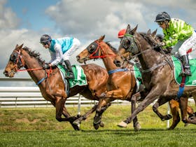 Bathurst Cup Race Day