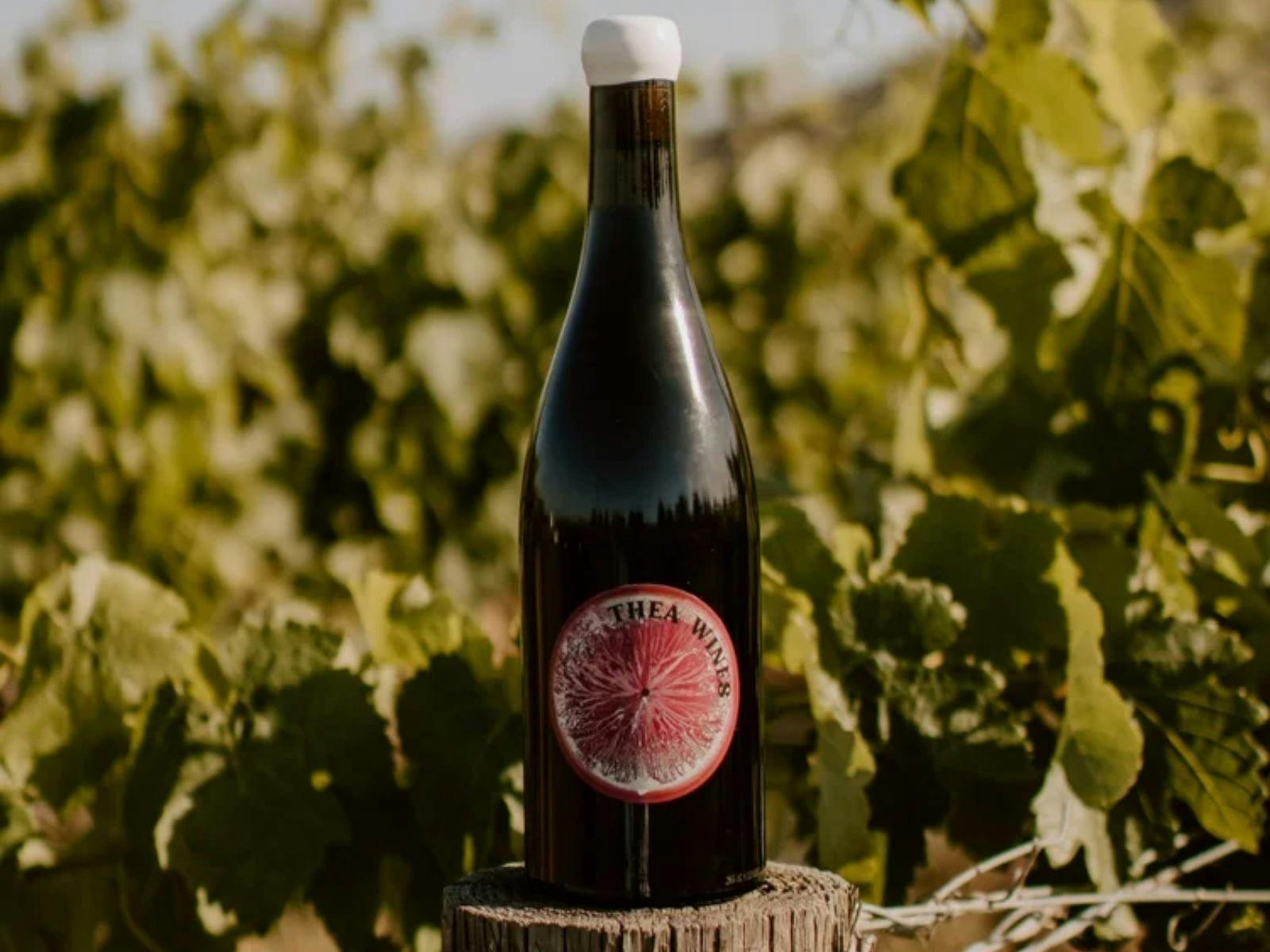 Thea Wines Image 3