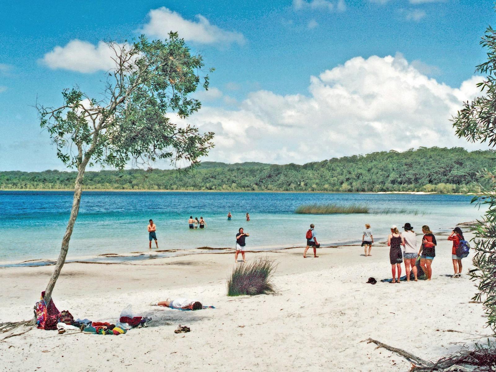 Bushwacker Eco Tours