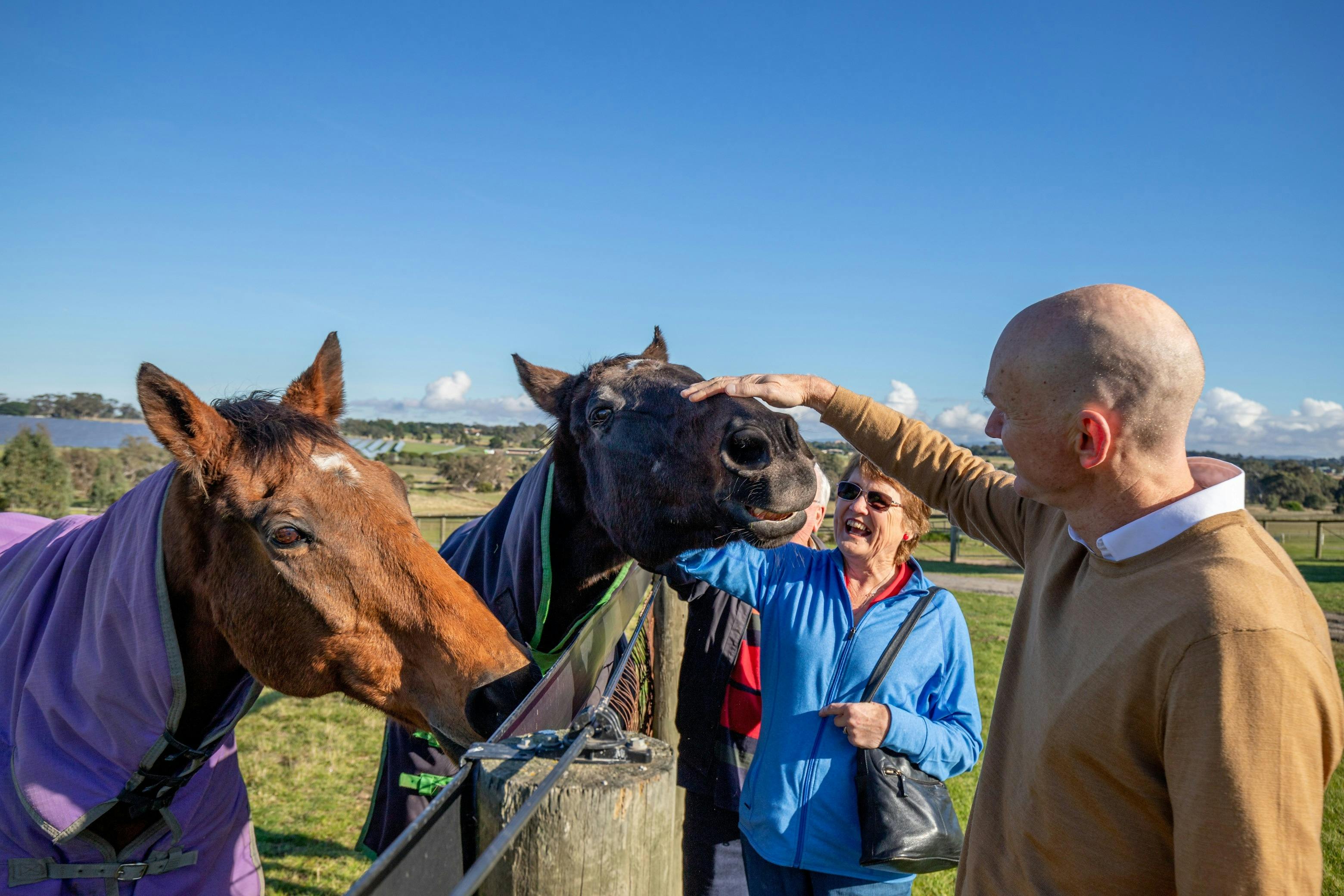 A man is patting the nose of a dark brown horse.  A woman in a blue top is in the background.