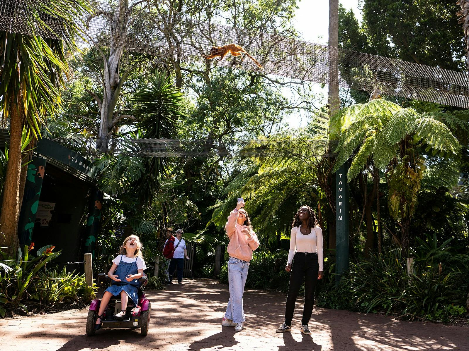 Paws and Claws: Jungle Adventure