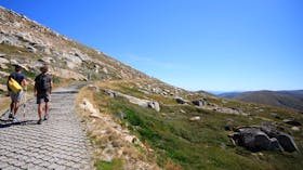 Thredbo to Mount Kosciuszko walk, Kosciuszko National Park. Photo: Elinor Sheargold