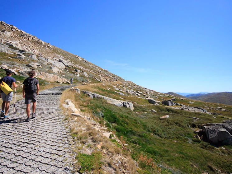 Thredbo to Mount Kosciuszko walk, Kosciuszko National Park. Photo: Elinor Sheargold