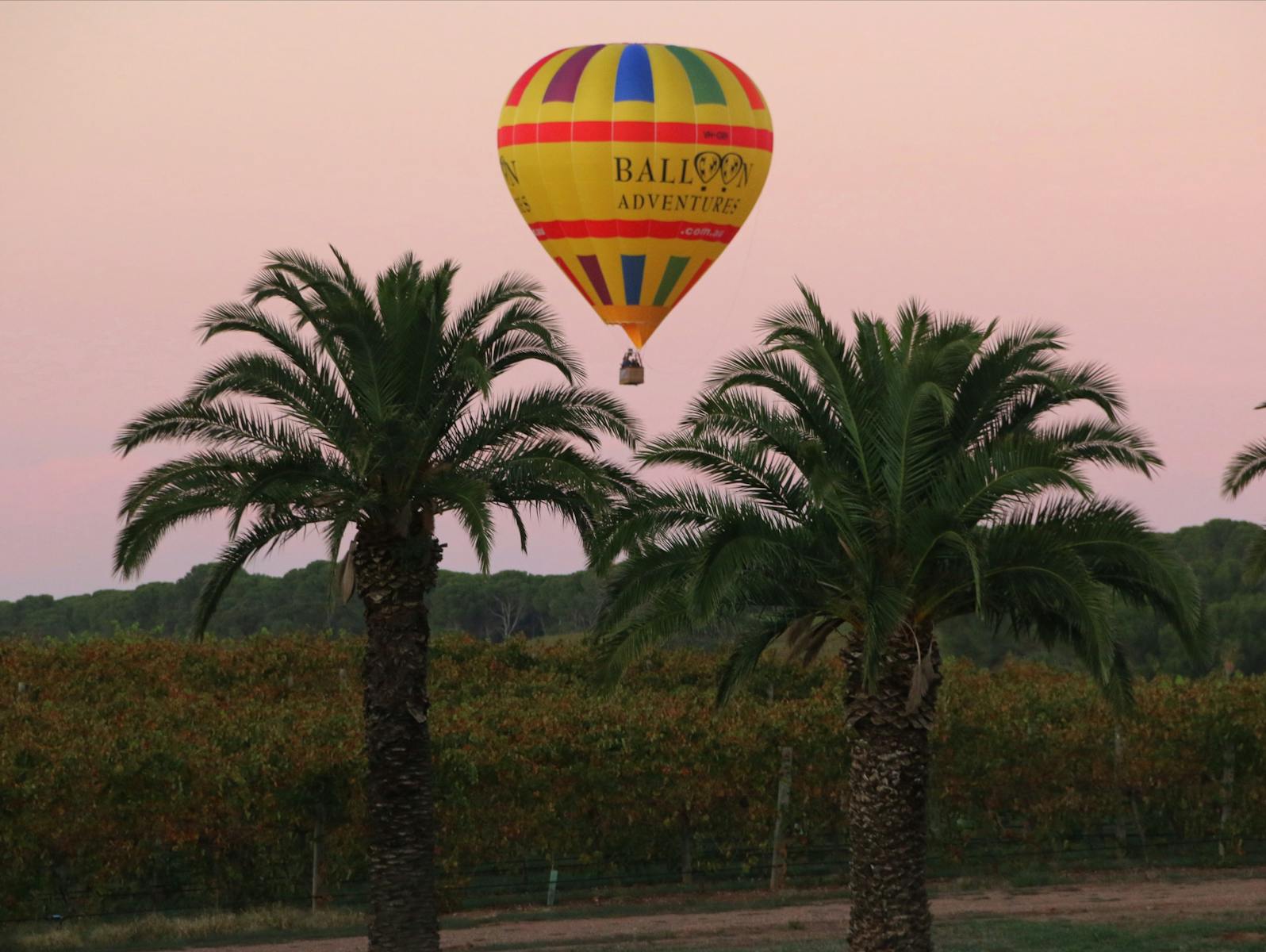 Dawn take off