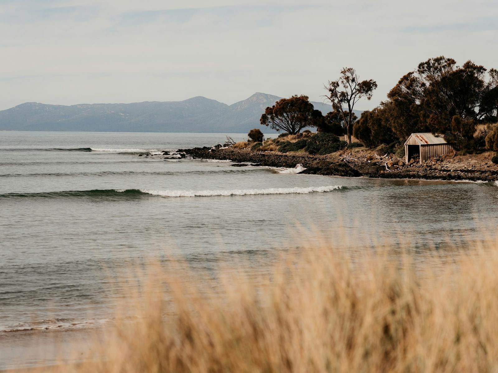 Great Oyster Bay