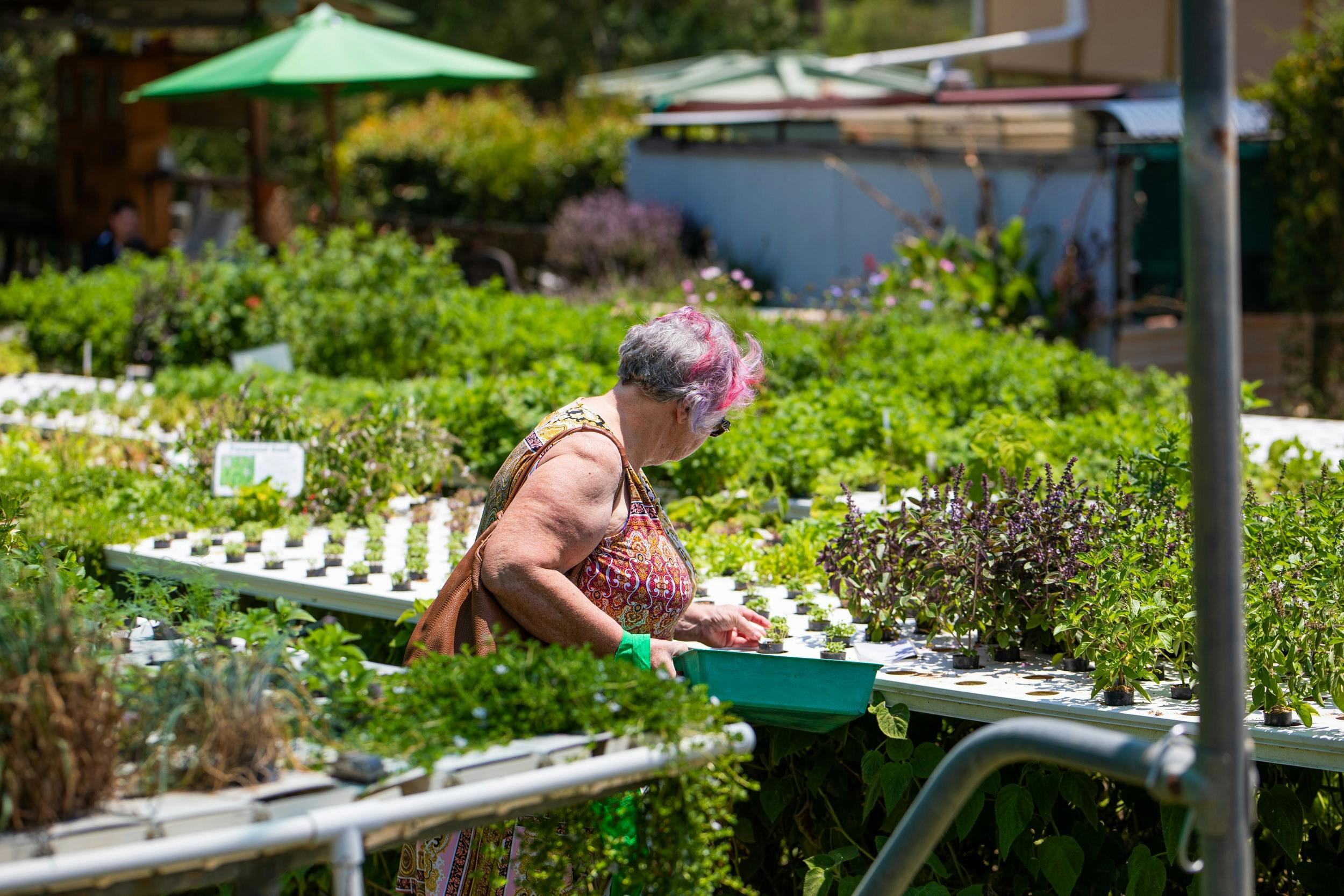 Basilea  Farm Open Day