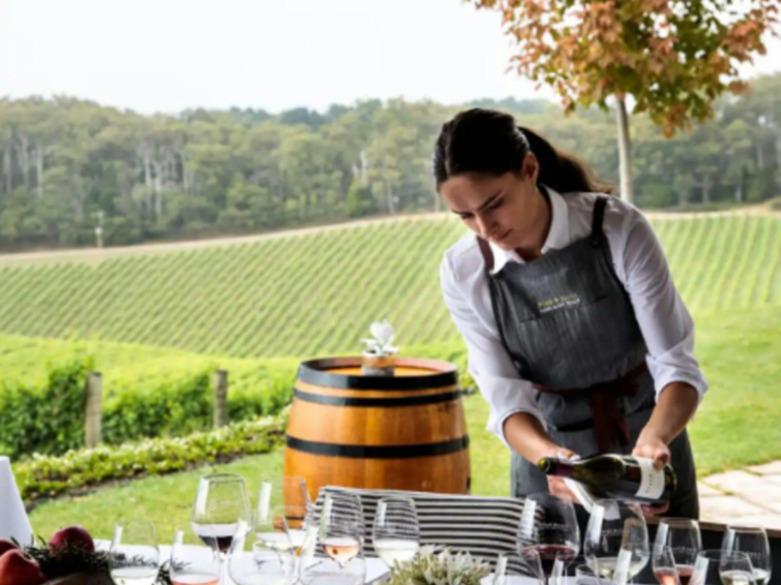 Barossa Wine Tours