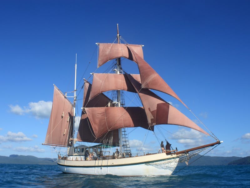 Image for Coral Trekker at Port Macquarie-Hastings Bicentenary