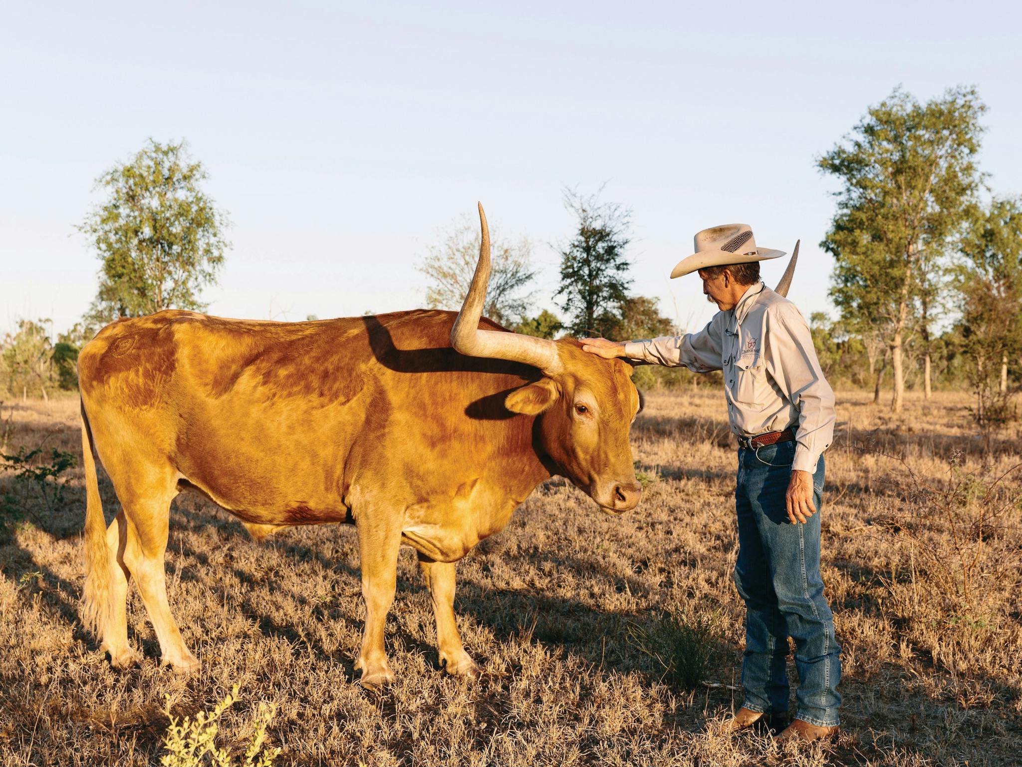 Texas Longhorn Wagon Tours & Safaris