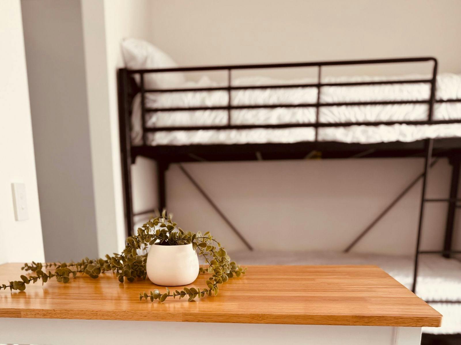 オープンラウンジエリアに二段ベッド（ダイニングテーブル付き）