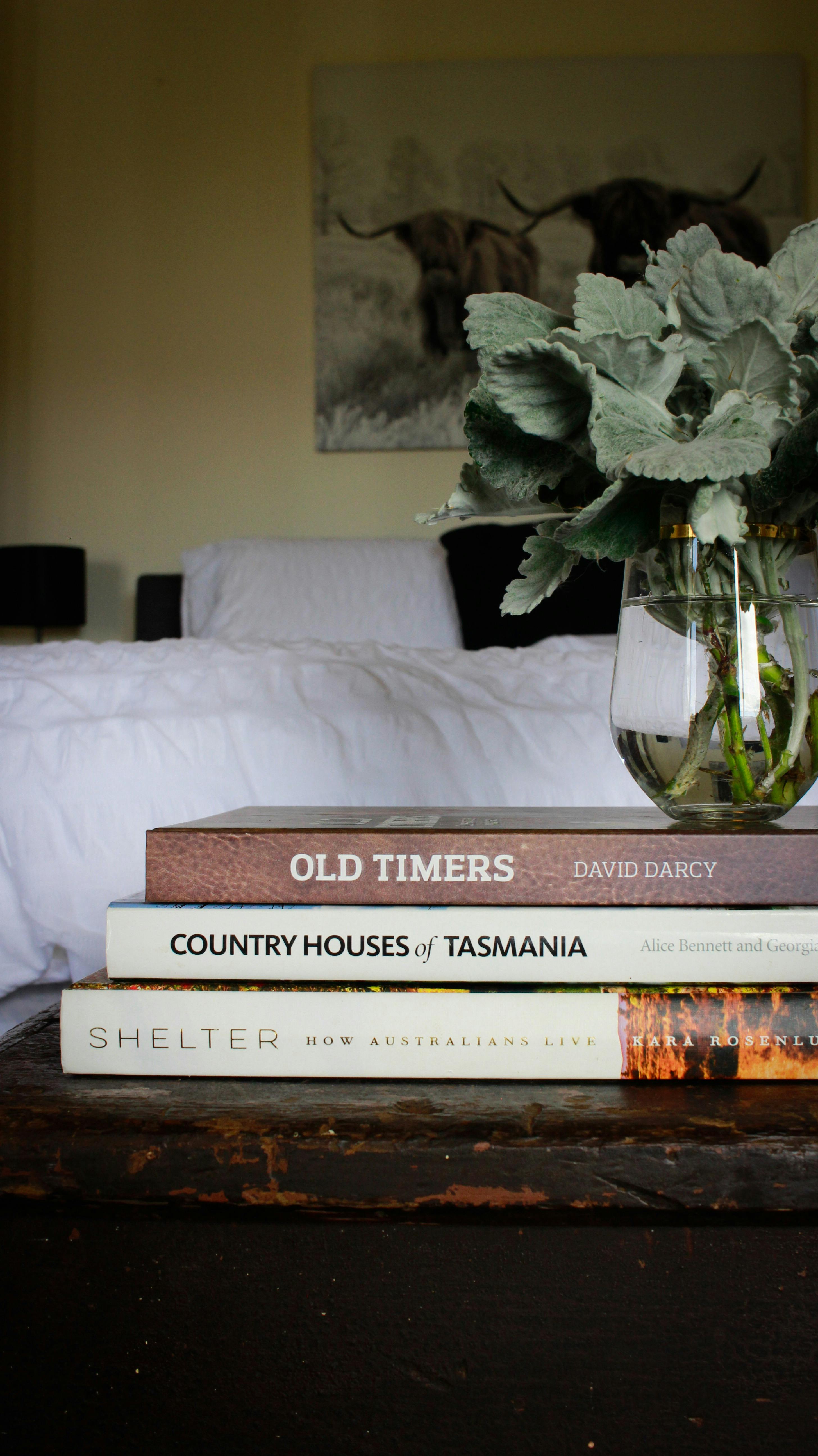 A variety of books throughout the house and the library for the avid reader