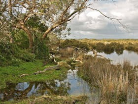 Pristine wetlands Venus Bay Eco Retreat