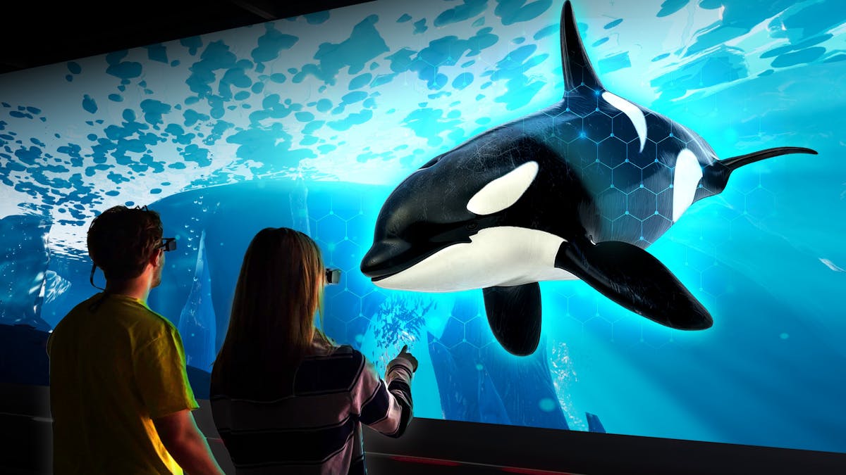 Hologram Zoo Arctic Experience