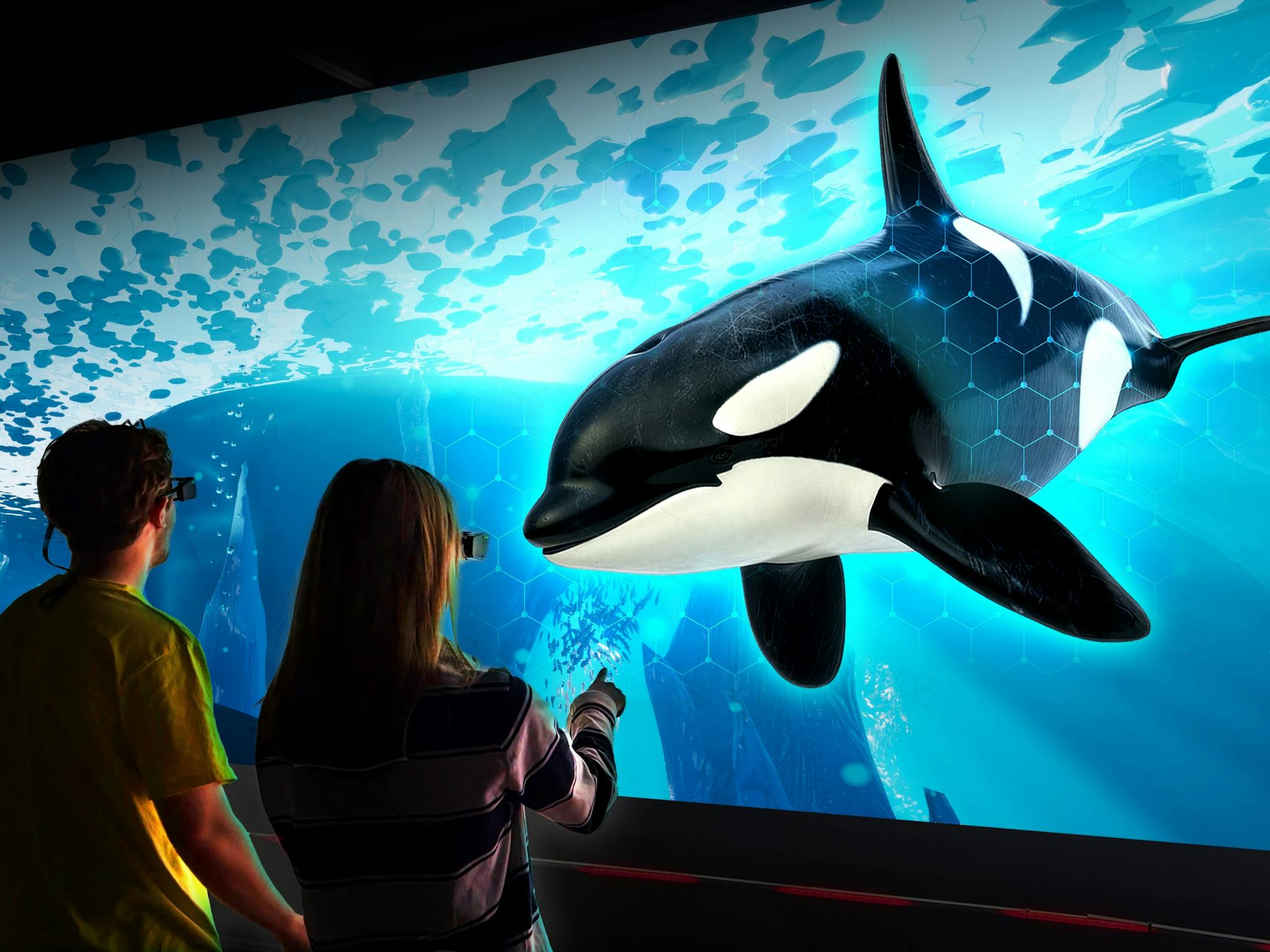 Hologram Zoo Arctic Experience Hologram Zoo Arctic Experience