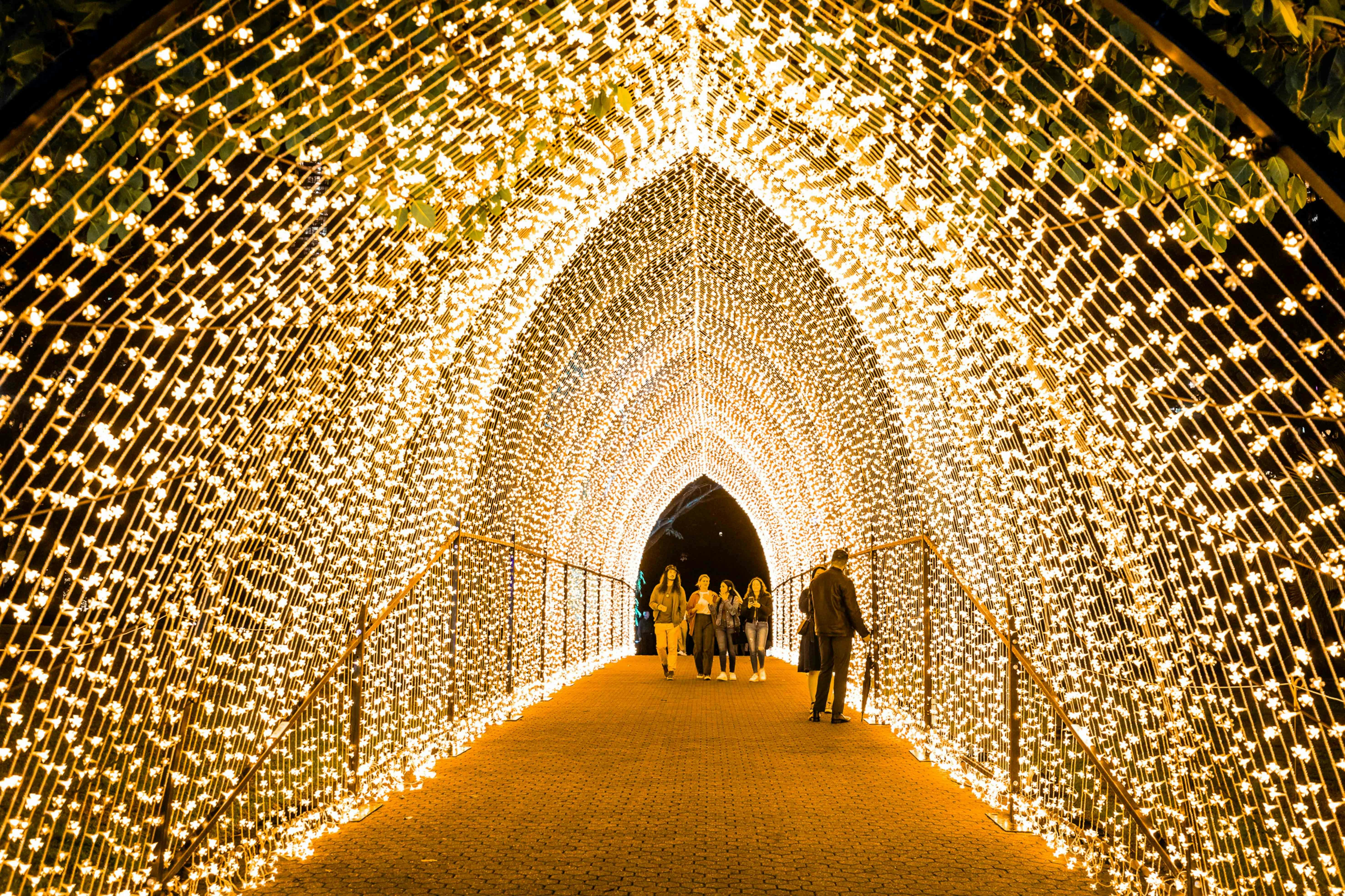Audiences enjoying the globally renowed 2024  Lightscape exhibit