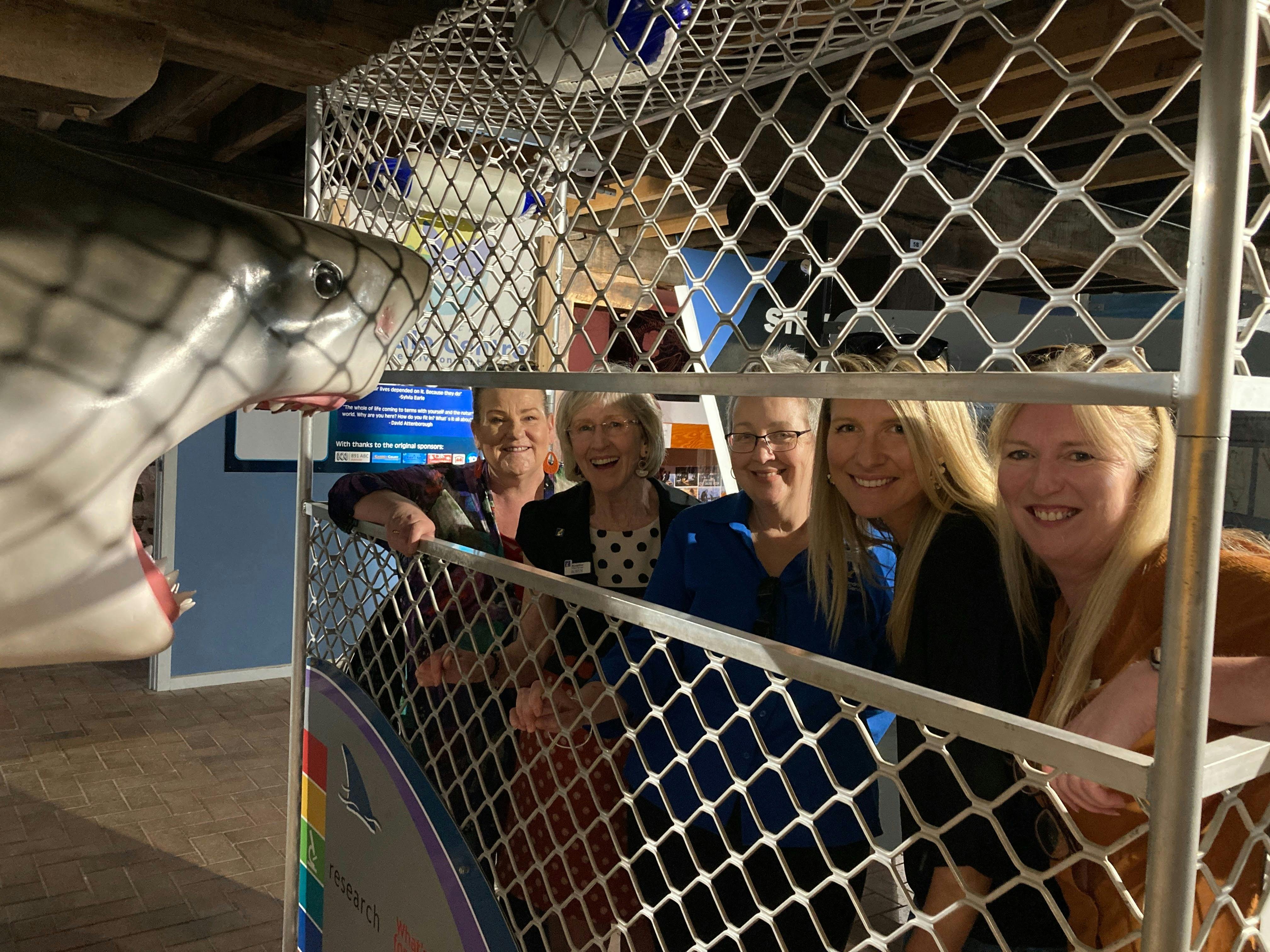 Shark Cage within the Whale Centre
