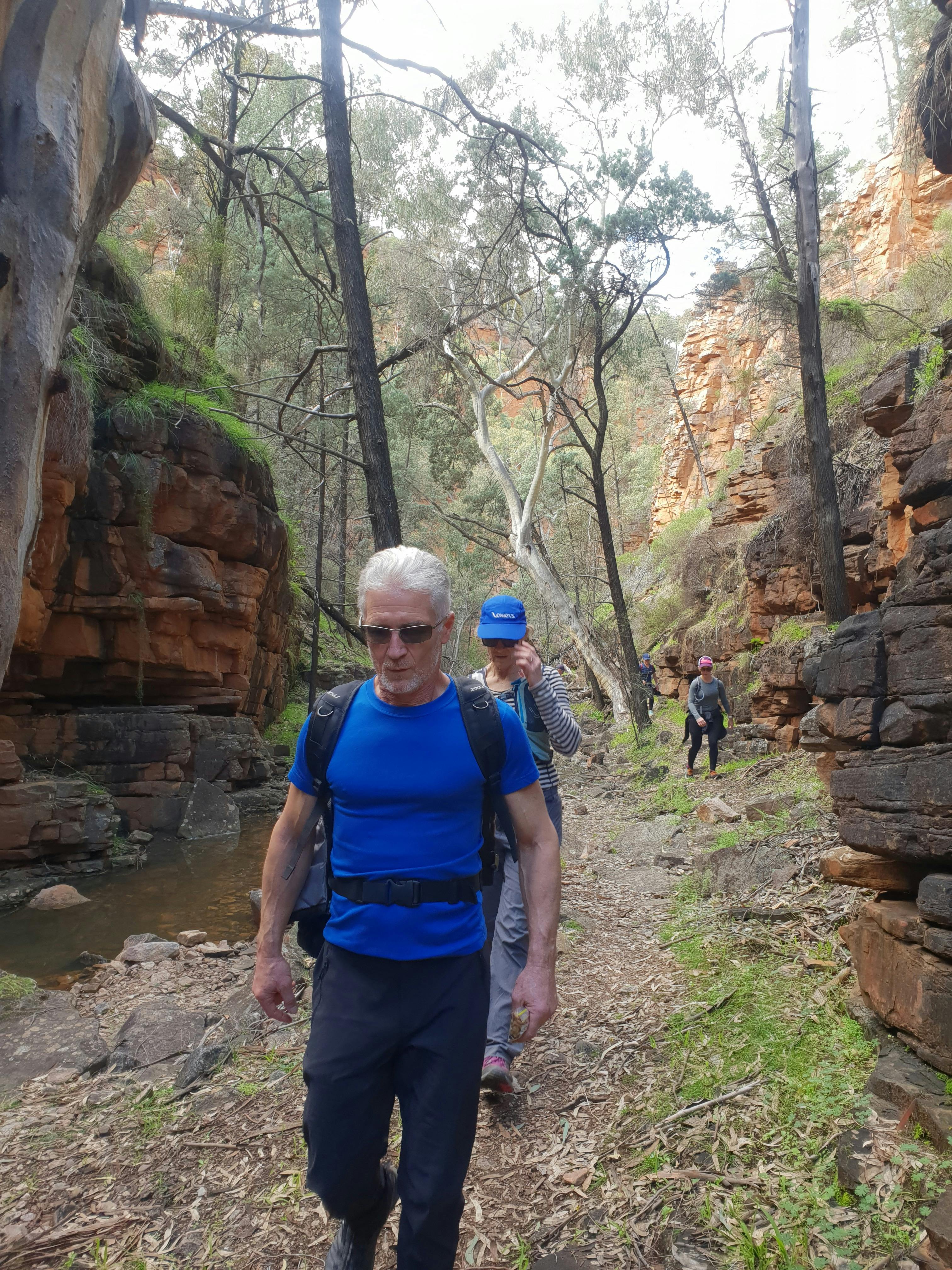 Group walking in Alligator Gorge