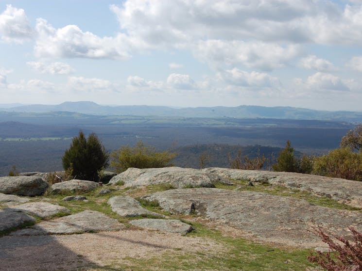 View from the top of Mt Pilot