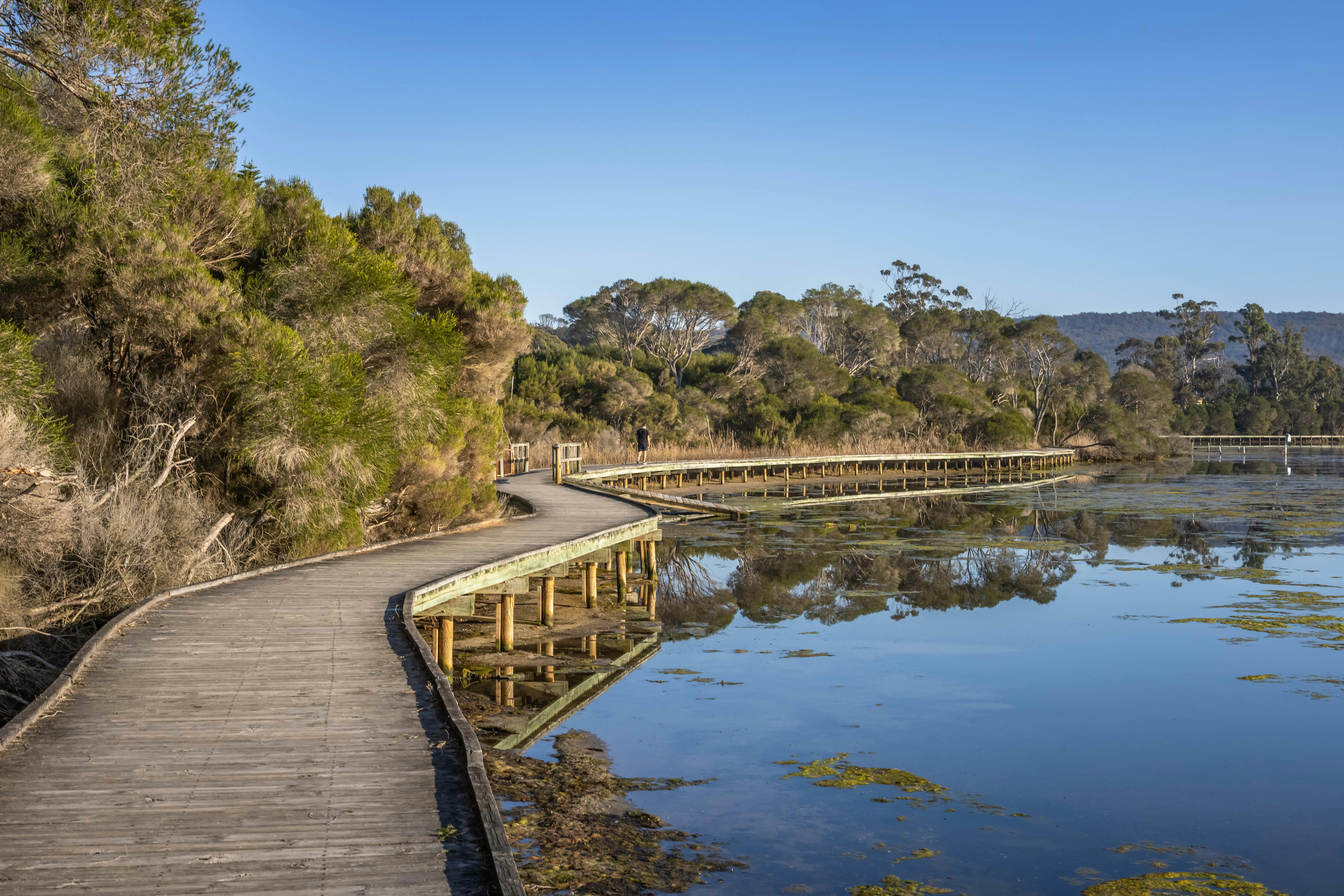 Lake Curalo Boardwalk, Eden, walks, boardwalk, lagoon, Sapphire Coast, South Coast, beach walks