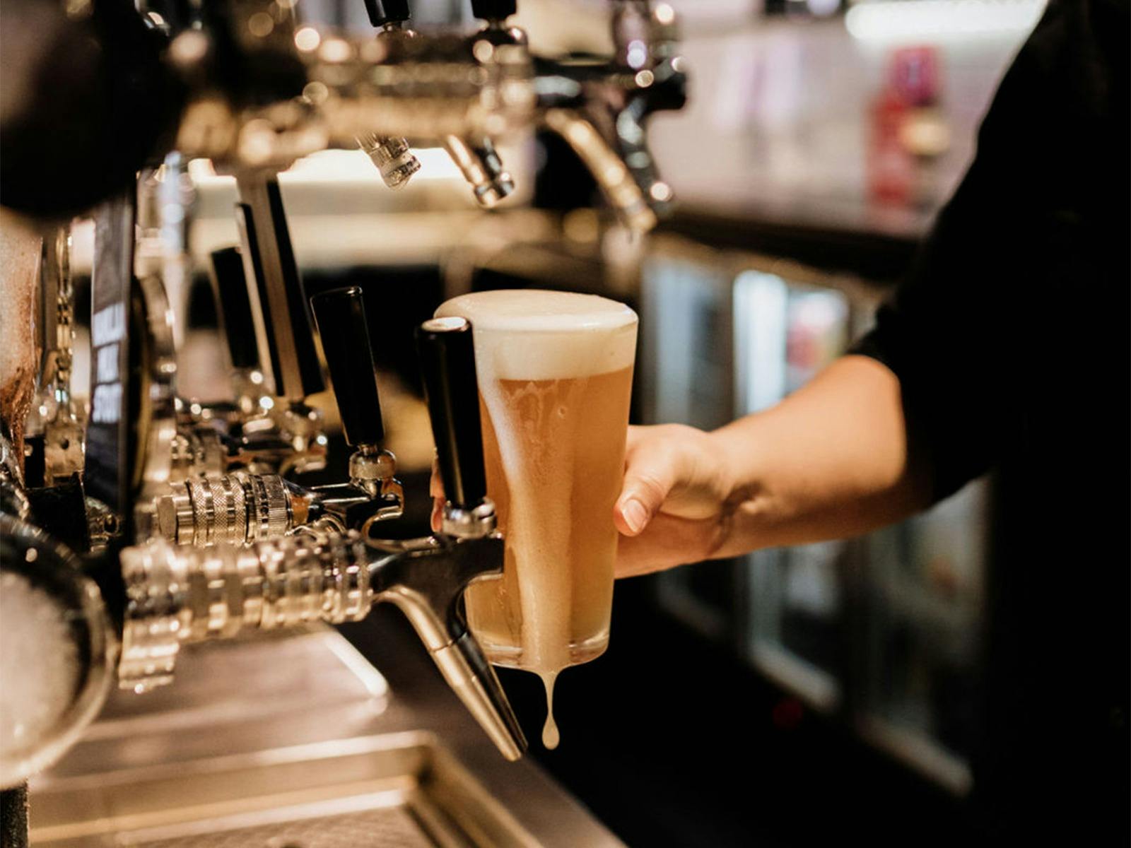 Pouring a schooner of beer from bar taps
