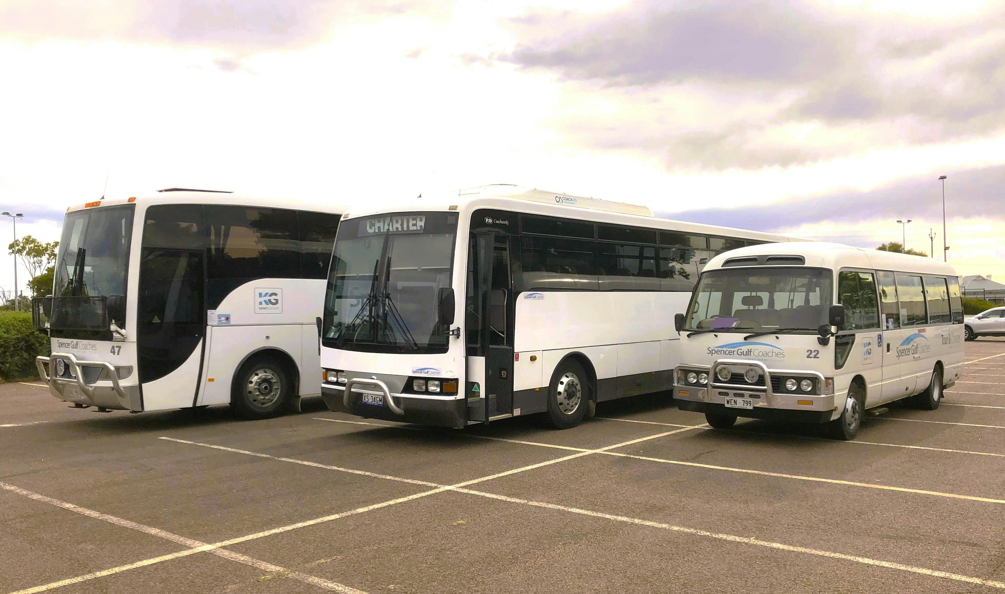 3 buses parked in car park